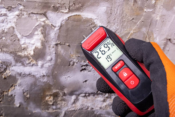 Best Post-Flood Mold Remediation in Drain, OR